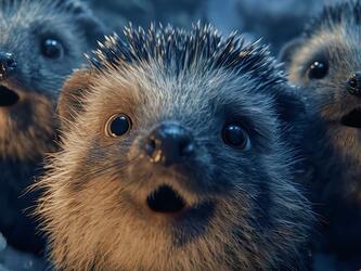 gasping hedgehogs in Coca-Cola's 'Holidays are Coming' Christmas advert in Europe in 2025